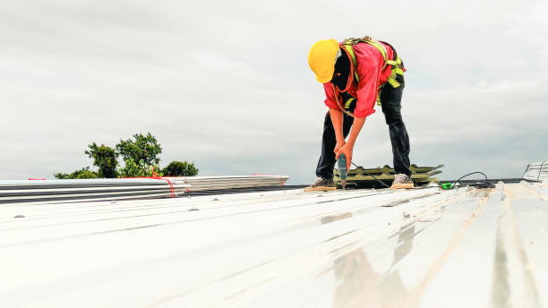 Professional Roofing Service in Westville, IN