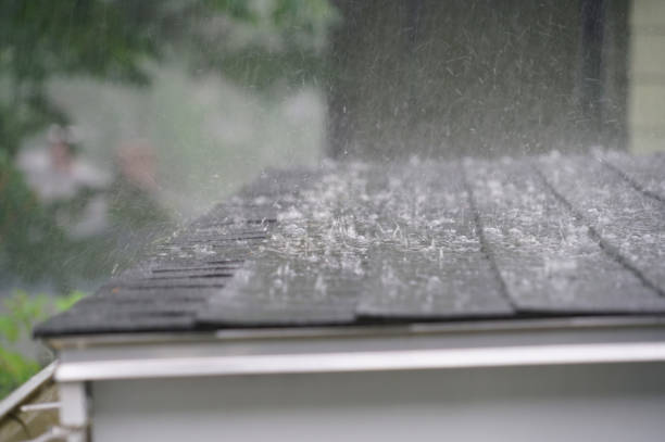 Best Green or Eco-Friendly Roofing Solutions  in Westville, IN