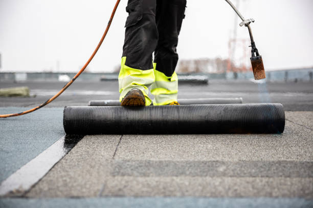 Best Roof Moss and Algae Removal  in Westville, IN