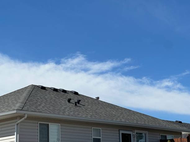 Best Roof Ventilation Installation  in Westville, IN